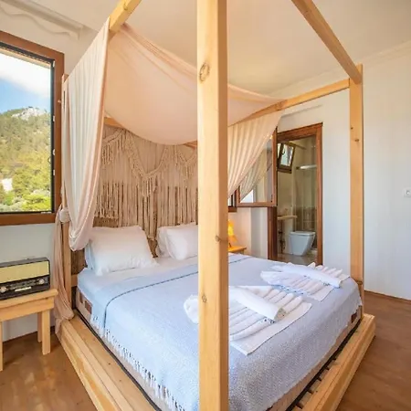 Villa Faralya Da Deniz Manzarali Oezel Havuzlu Muestakil